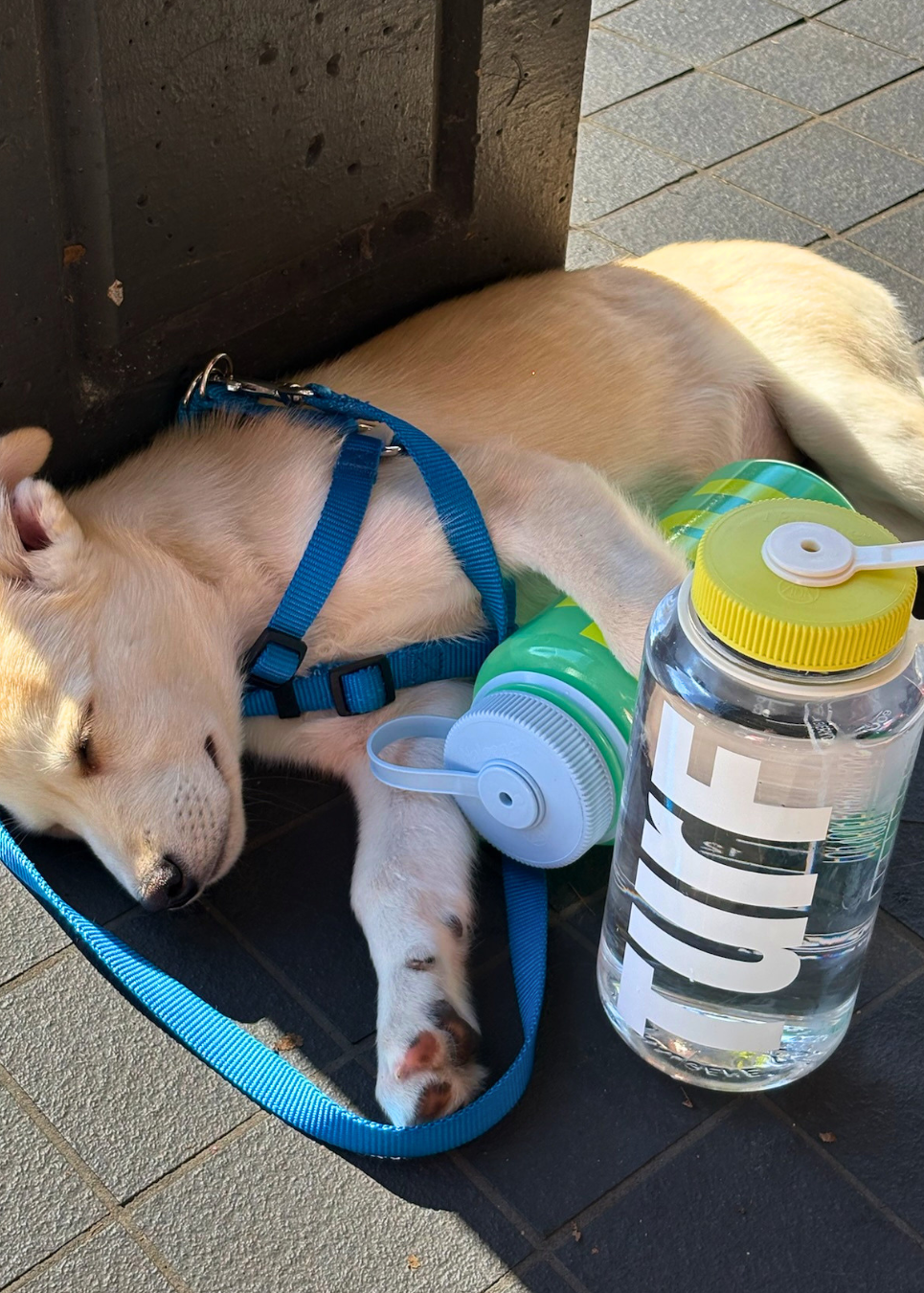 TurF Nalgene - Cool Down