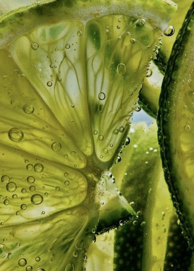 SANGRE DE FRUTA Botanical Hand Wash - Garden of Earthly Delights