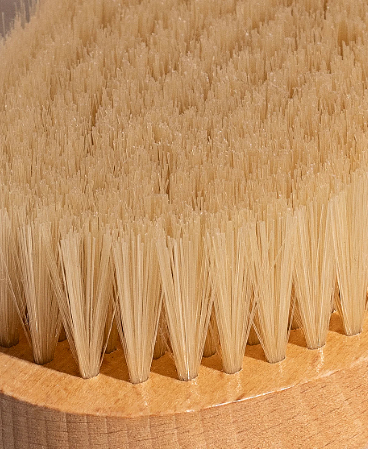 SAHAJAN The Ayurvedic Dry Brush