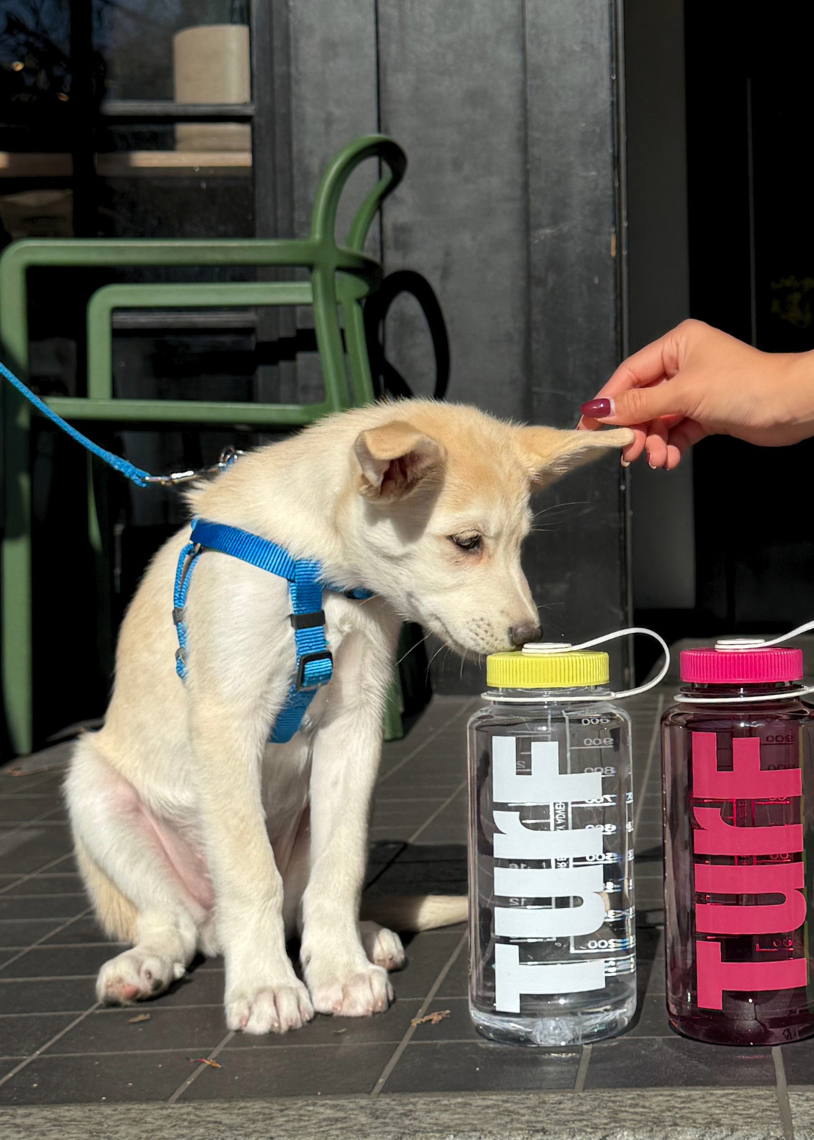 TurF Nalgene - Cool Down