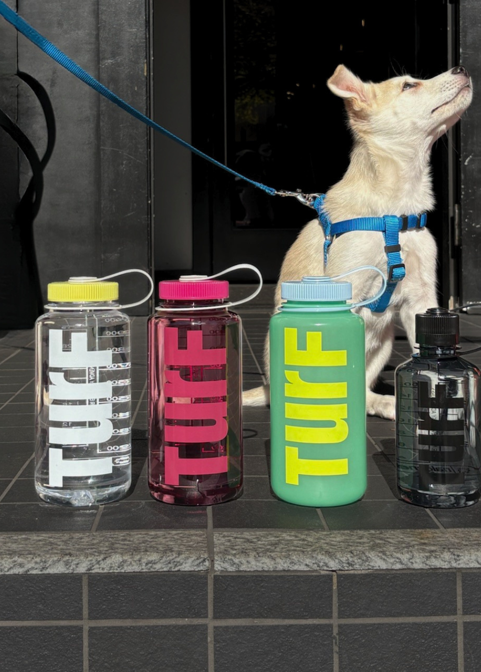 TurF Nalgene - Jelly Jar