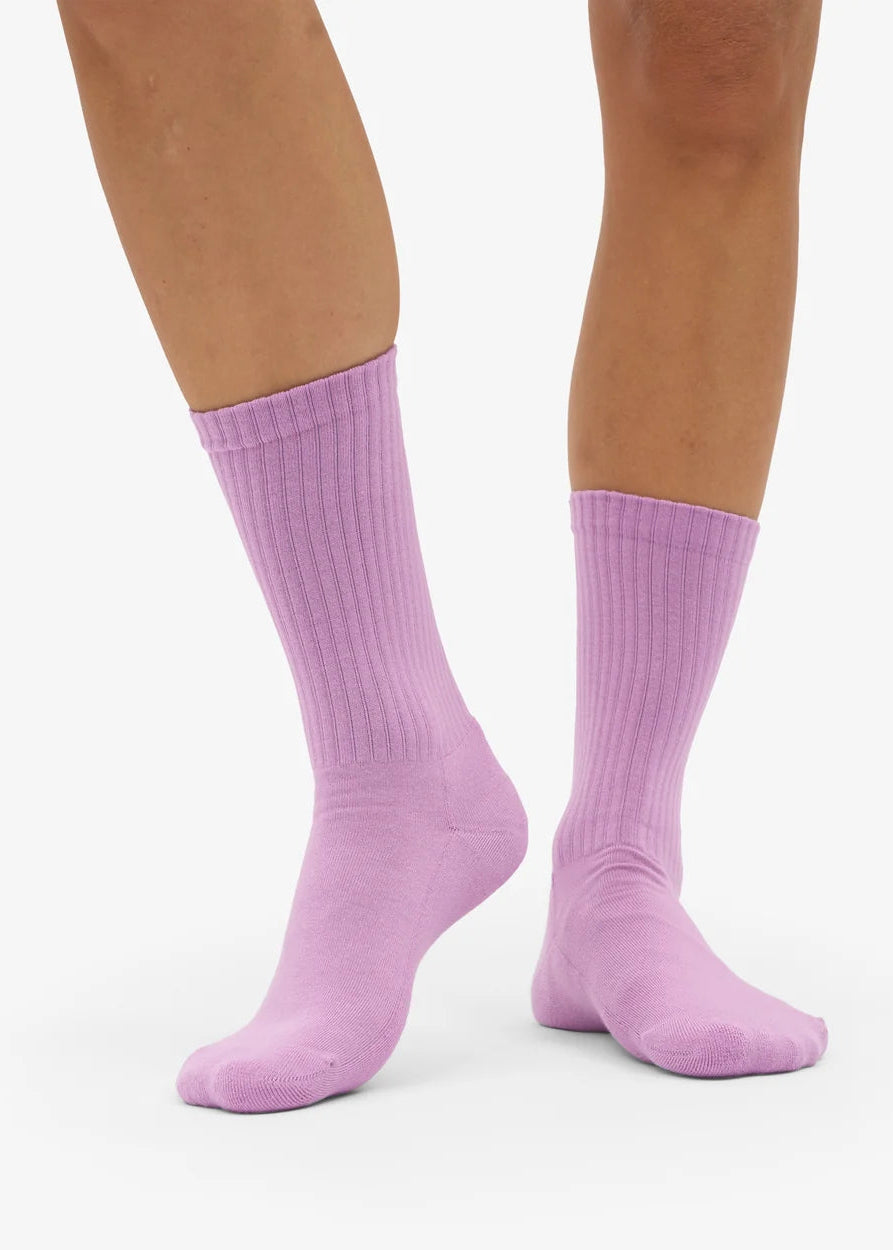 COLORFUL STANDARD Organic Active Sock - Cherry Blossom