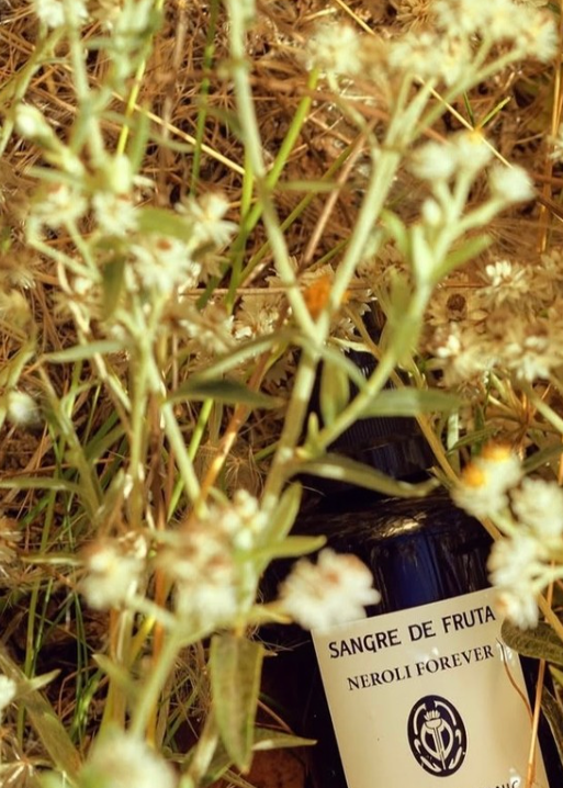 SANGRE DE FRUTA BOTANICAL Hand Wash - Neroli Noir