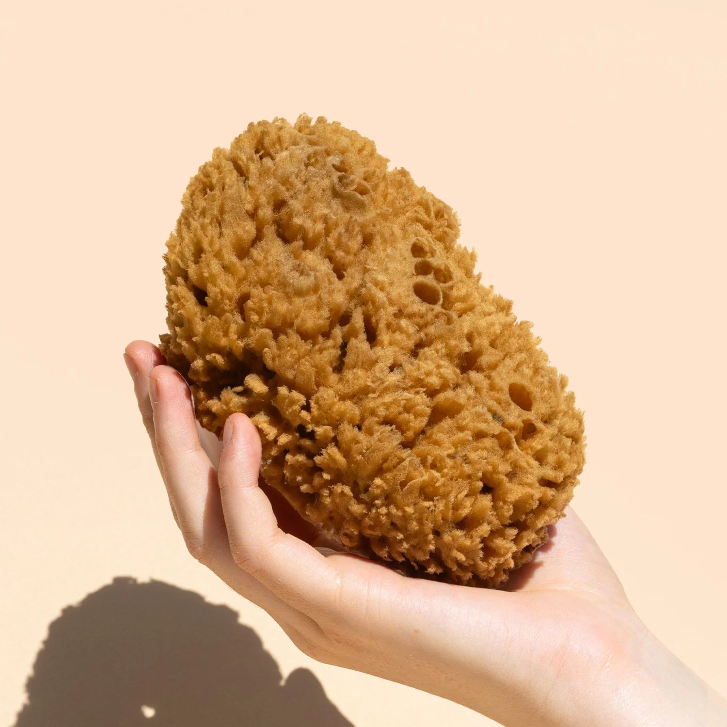WILDCRAFT Body Sea Sponge