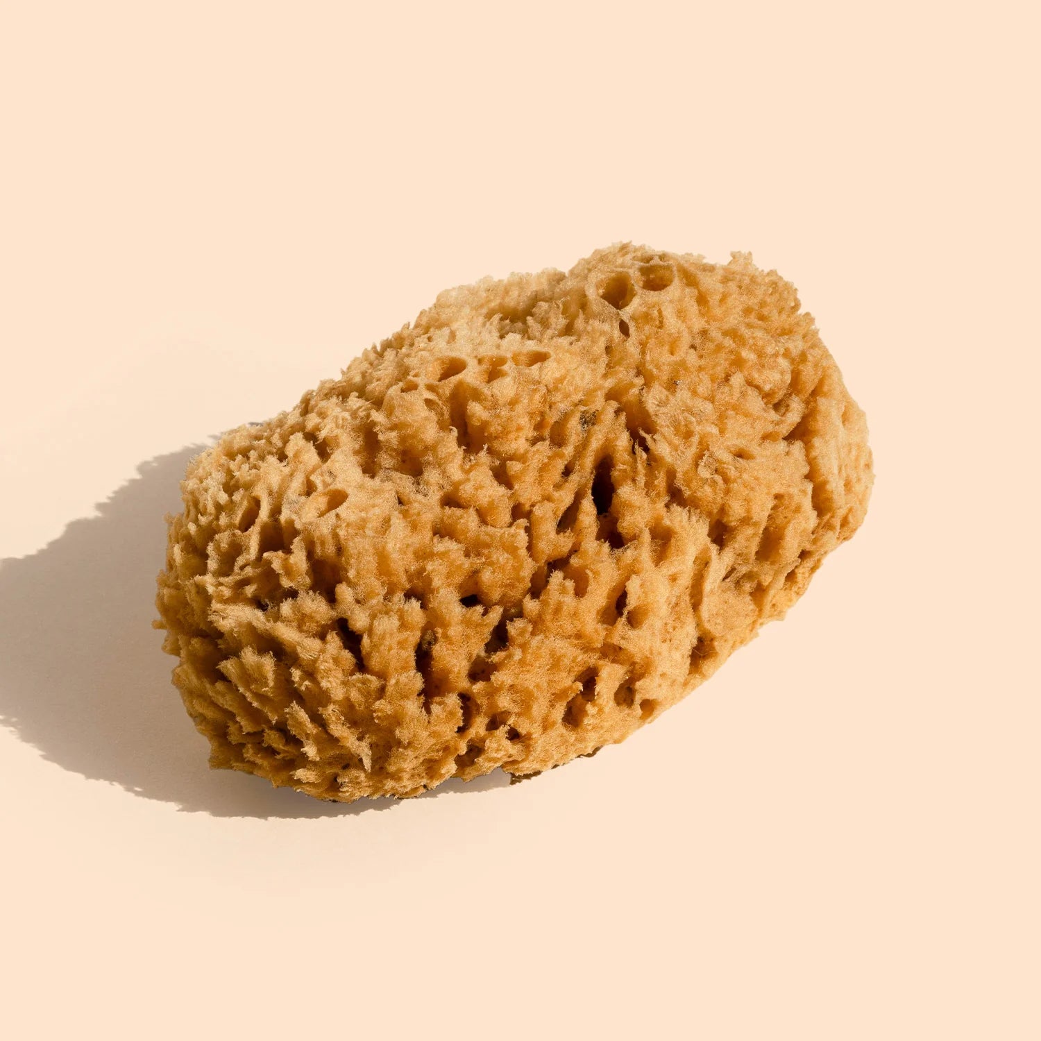 WILDCRAFT Body Sea Sponge