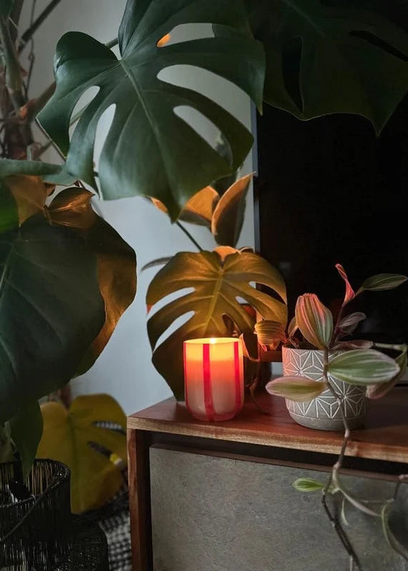 Atina Candle - Orange Blossom & Basil